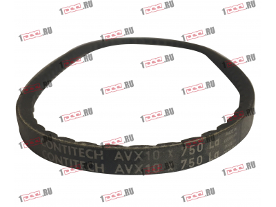 Ремень 10x750 клиновой Европа ЕВРОПА 10x750 фото 1 Владивосток