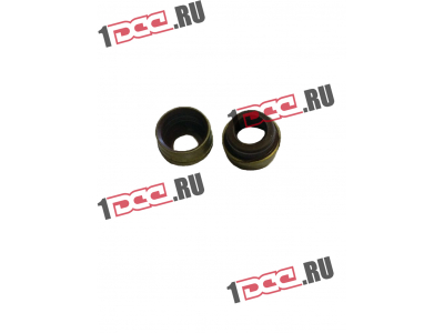 Колпачок маслосъемный WP12 SHAANXI / Shacman (ШАНКСИ / Шакман) 61800050151 фото 1 Владивосток