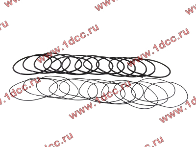Кольцо уплотнительное гильзы цилиндра (комплект 12 тонких и 12 толстых) двигатель TD226B6G Lonking CDM (СДМ) 01153804/01153805 фото 1 Владивосток