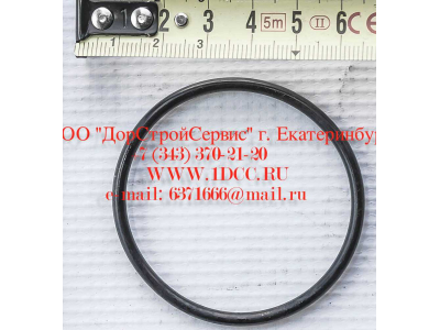 Кольцо уплотнительное ø346х3.5 гидромуфты ГТР CDM 855, 843 Lonking CDM (СДМ) 402236 фото 1 Владивосток